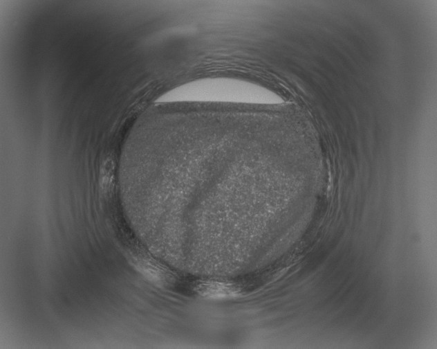 X0000082200507200702100005