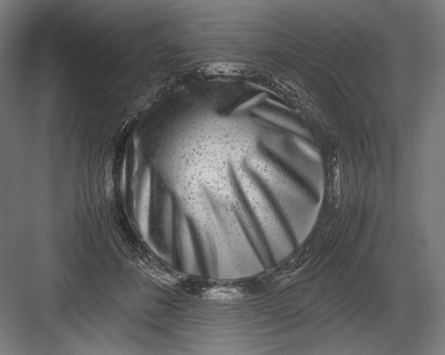 X0000082200508200702100005