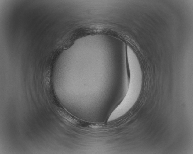 X0000082200509200702100005