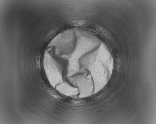 X0000082200510200702100005