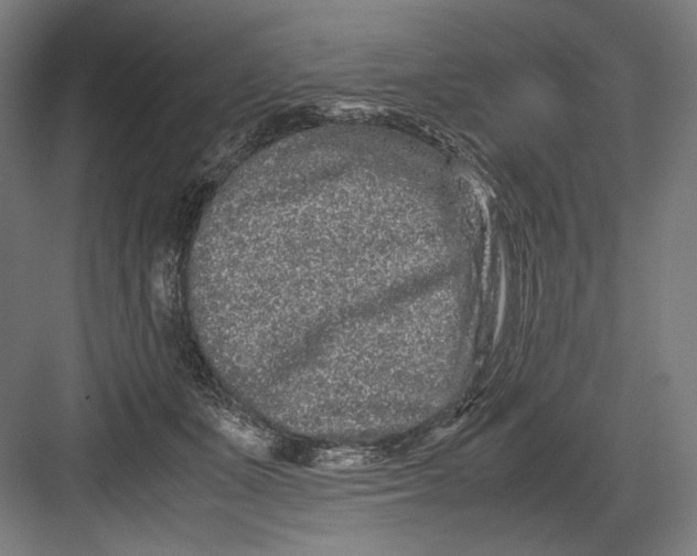 X0000082200511200702100004