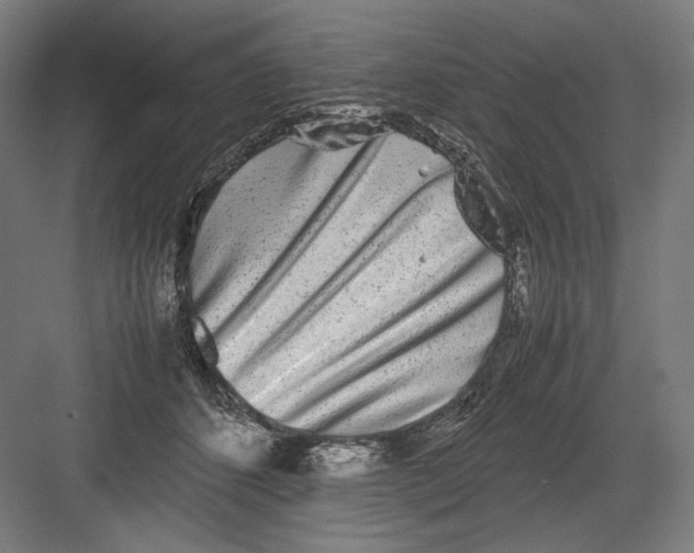 X0000082200512200702100004