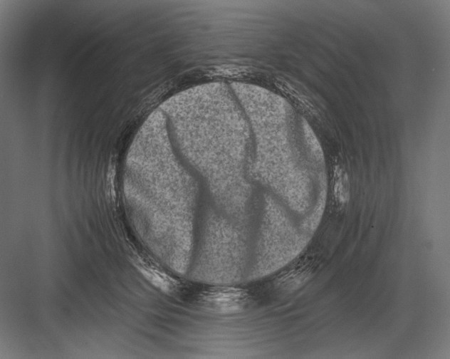 X0000082200514200702100004