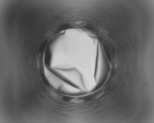 X0000082200515200702100004