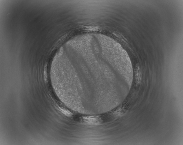 X0000082200516200702100004