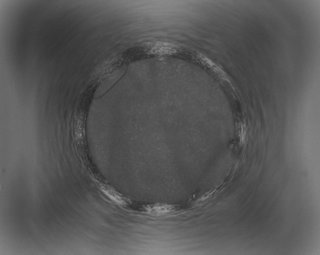 X0000082200517200702100004