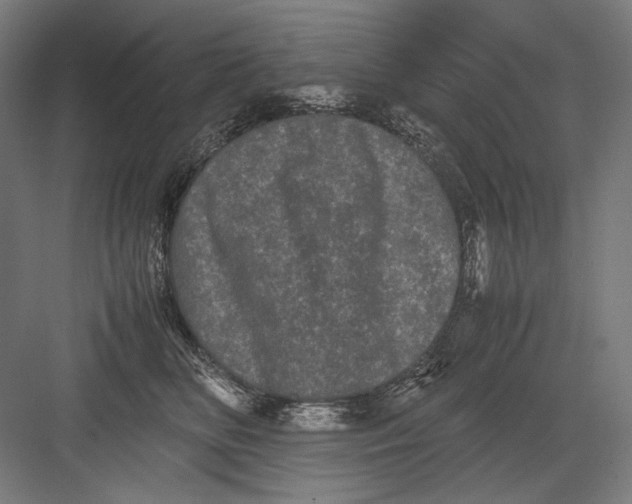 X0000082200518200702100004