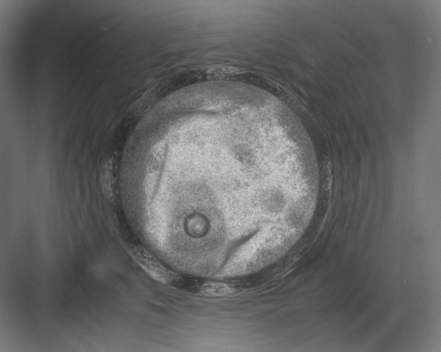 X0000082200519200702100004