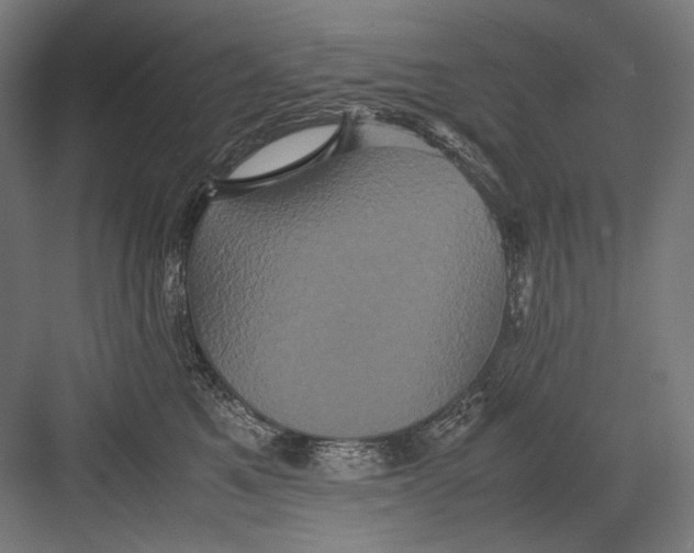 X0000082200521200702100004