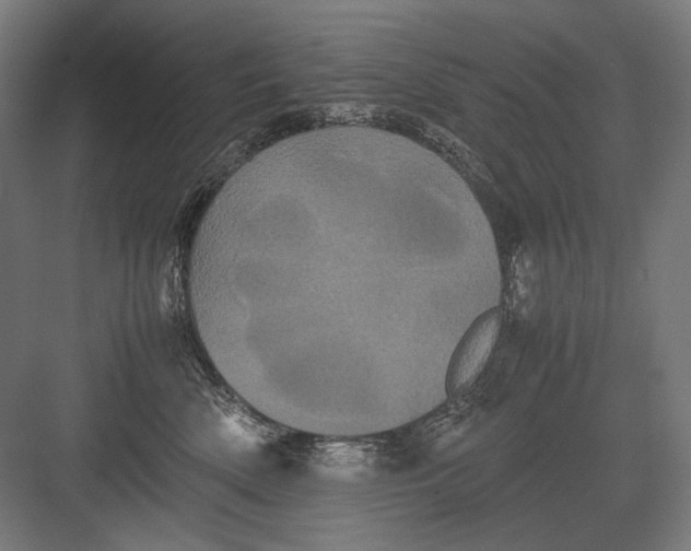 X0000082200522200702100004