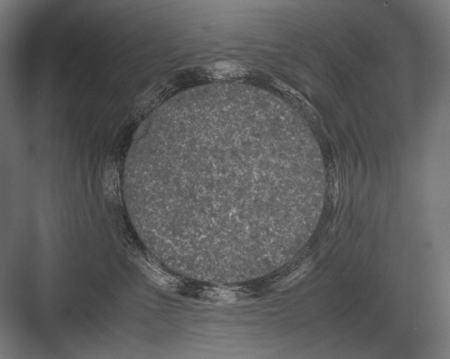 X0000082200523200702100004