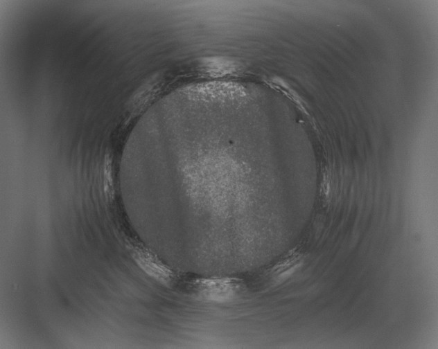 X0000082200524200702100004