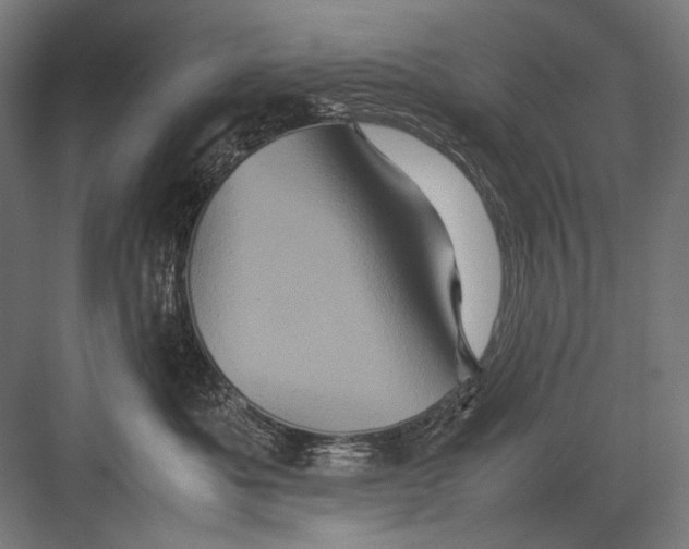 X0000082200525200702100004