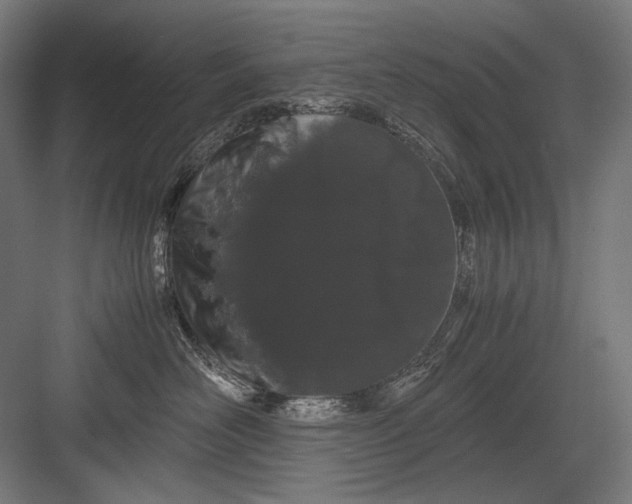 X0000082200526200702100004