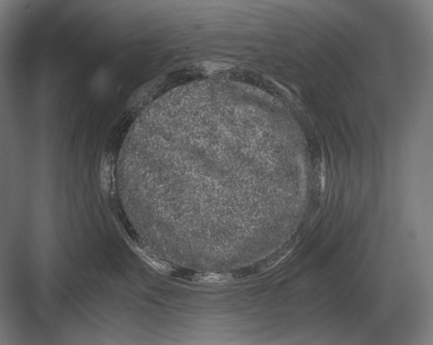 X0000082200527200702100004