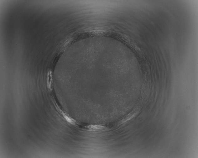 X0000082200528200702100004