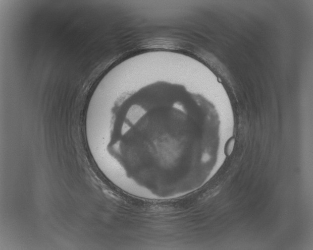 X0000082200529200702100003