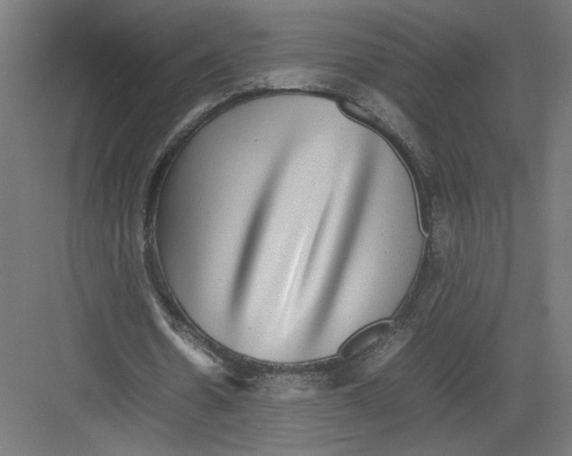 X0000082200530200702100003