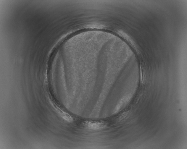 X0000082200531200702100003