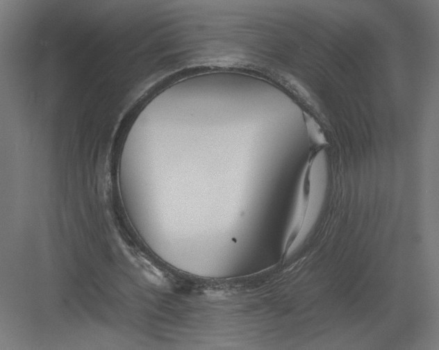 X0000082200532200702100003