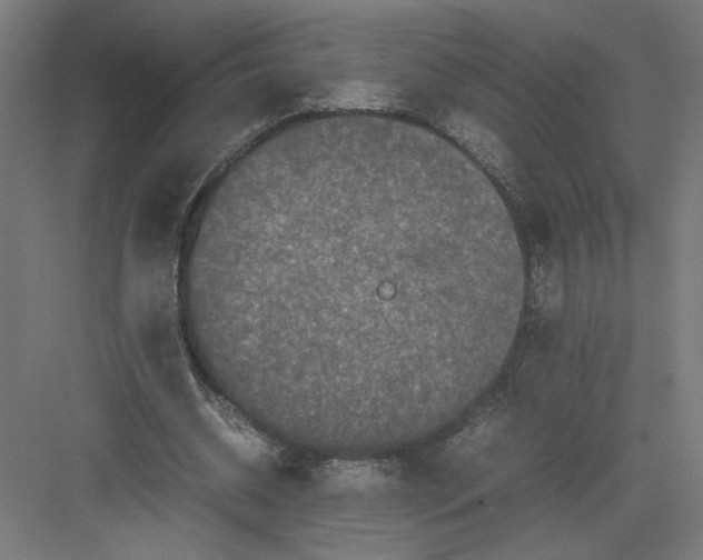 X0000082200534200702100003