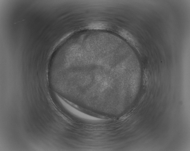 X0000082200535200702100003