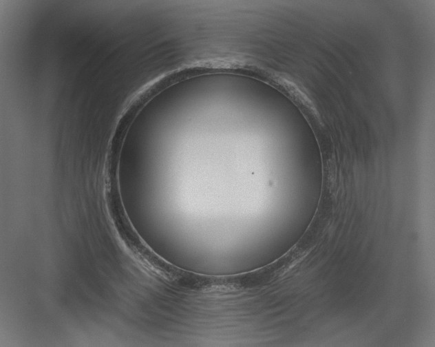 X0000082200536200702100004