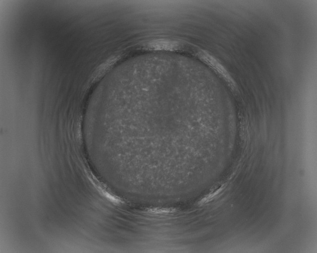 X0000082200537200702100004