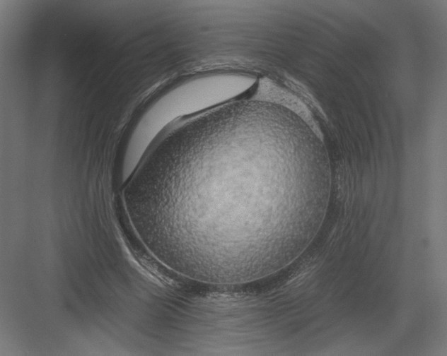 X0000082200538200702100004