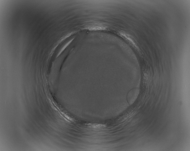 X0000082200539200702100004