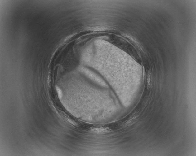 X0000082200540200702100004