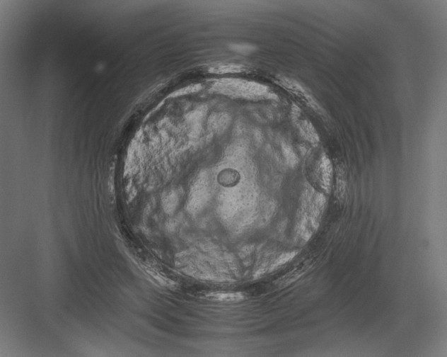 X0000082200543200702100004