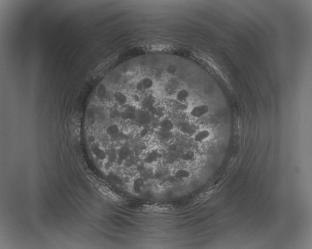 X0000082200545200702100004