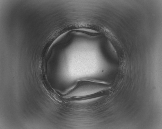 X0000082200548200702100004