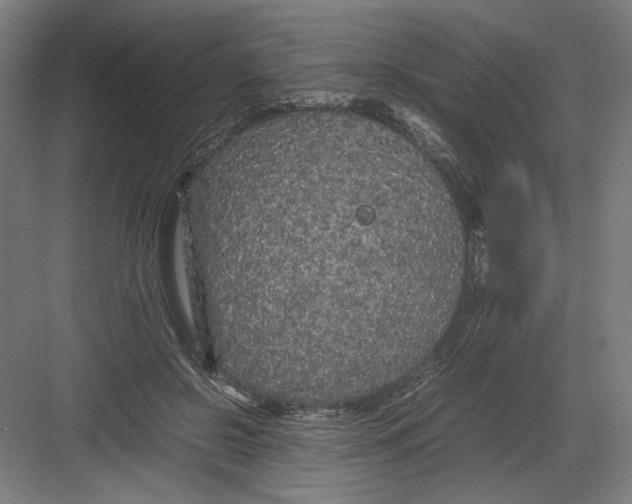 X0000082200550200702100004