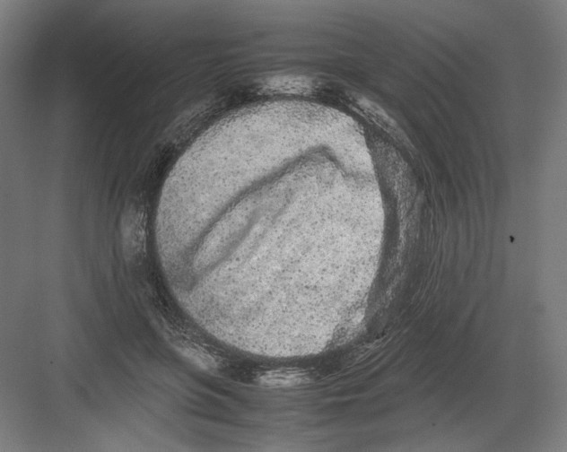 X0000082200551200702100004