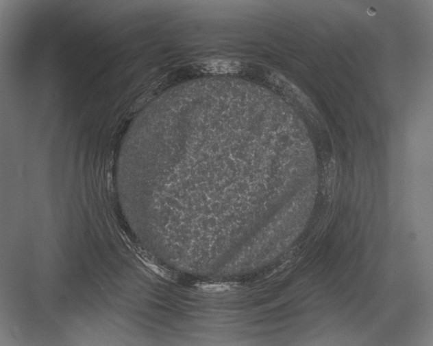 X0000082200553200702100004