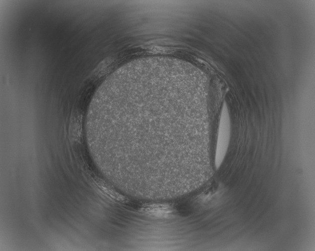 X0000082200554200702100004