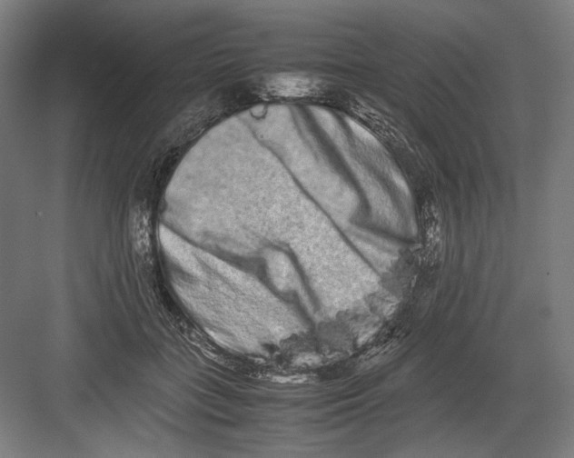 X0000082200555200702100004