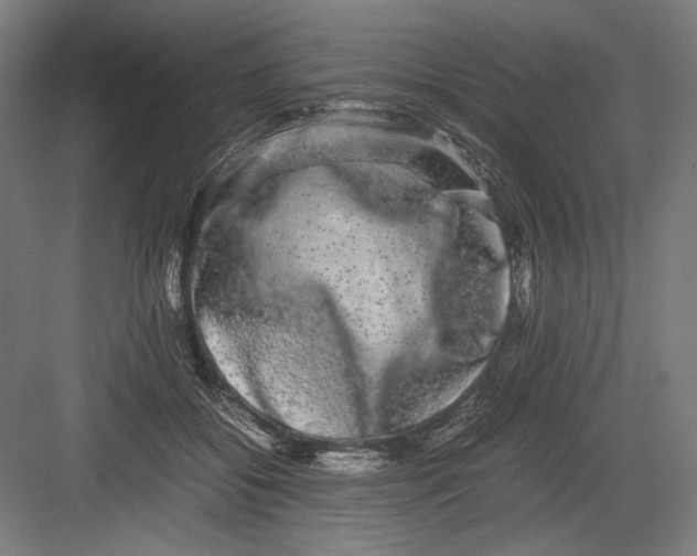 X0000082200556200702100004