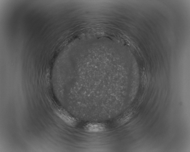 X0000082200557200702100004