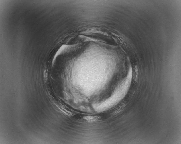 X0000082200558200702100004