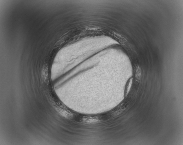 X0000082200559200702100004