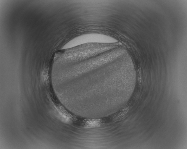 X0000082200560200702100004