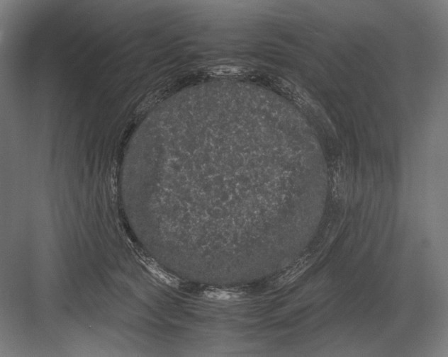 X0000082200561200702100004