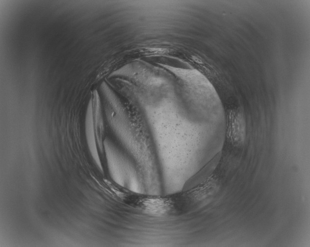 X0000082200562200702100004