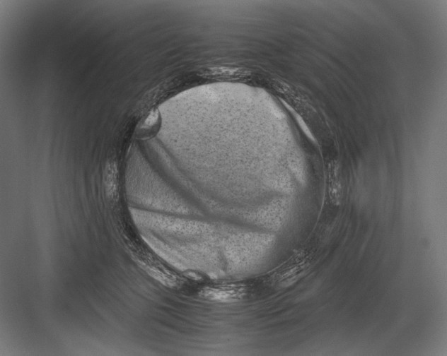 X0000082200563200702100004