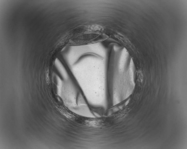 X0000082200564200702100004