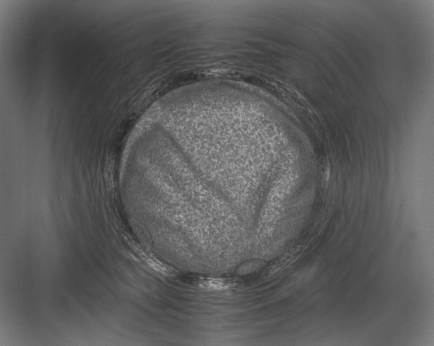 X0000082200565200702100004