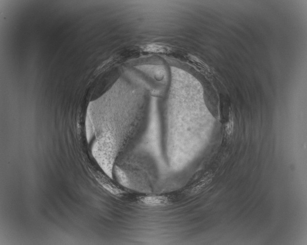 X0000082200566200702100004